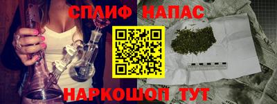 ешки Нарткала