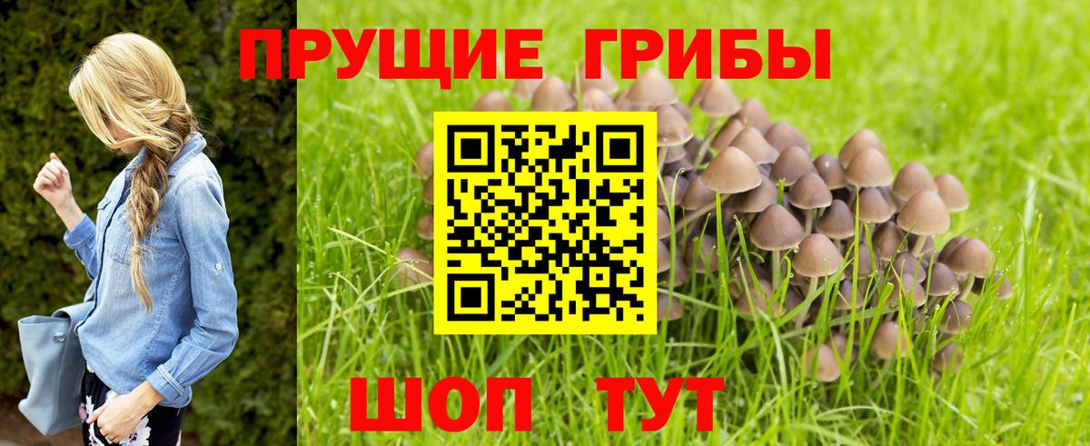 Электросталь  Галлюциногенные грибы мицелий  Вход с VPN 