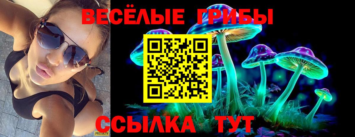 Галлюциногенные грибы GOLDEN TEACHER Электросталь